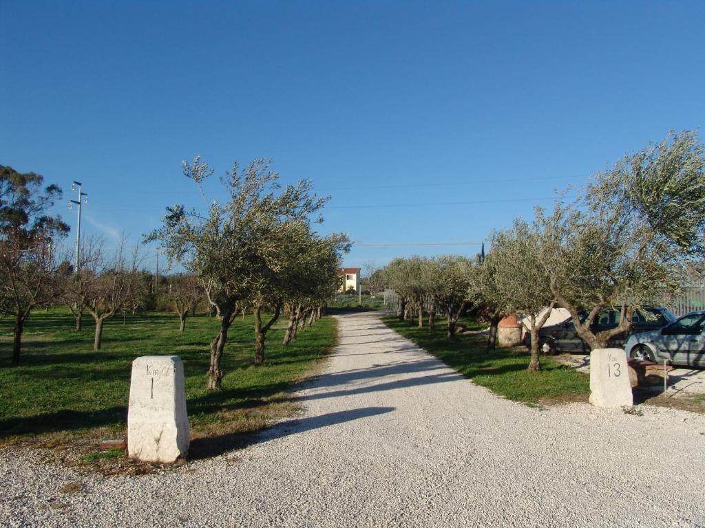 Podere 1248 Ladispoli Exterior photo