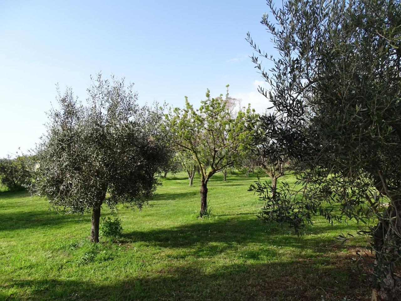 Podere 1248 Ladispoli Exterior photo